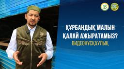 Құрбандық малын қалай ажыратамыз? | Видеонұсқаулық
