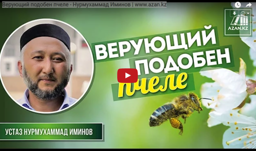 Верующий подобен пчеле - Нурмухаммад Иминов | www.azan.kz