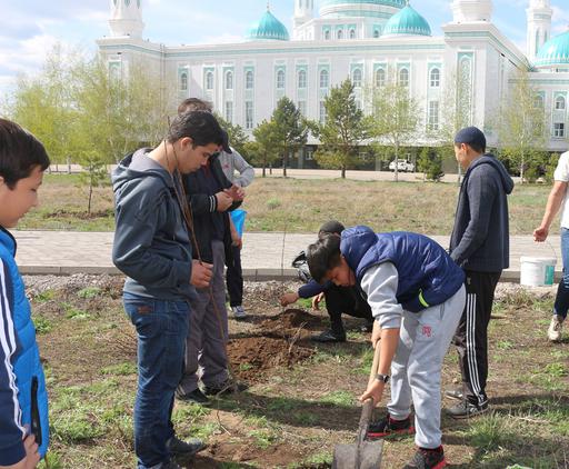 Дерево украшение земли