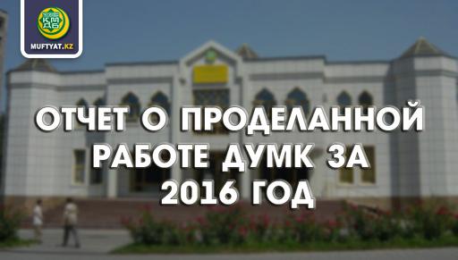 ОТЧЕТ О ПРОДЕЛАННОЙ РАБОТЕ ДУМК ЗА 2016 ГОД