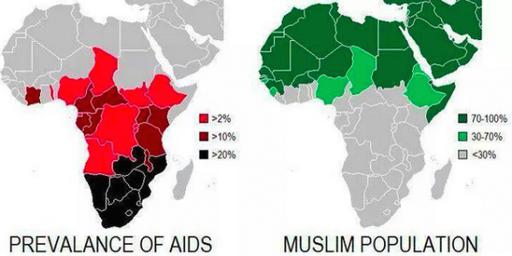 Заключение ученых: где есть ислам - нет СПИДа
