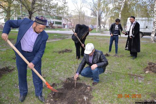 Тал егіп көркейтейік жерімізді