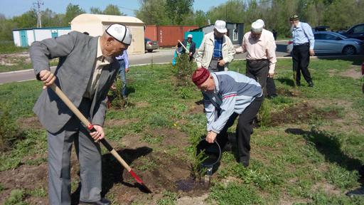 Өскеменде «Бабалар еккен шынарды балалар саялайды» акциясы өтті (ФОТО)