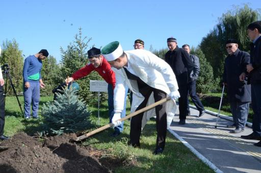 "Посади дерево, даже если это твой последний поступок"