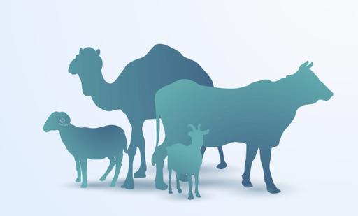 QURBAN2020.KZ САЙТЫ ІСКЕ ҚОСЫЛДЫ