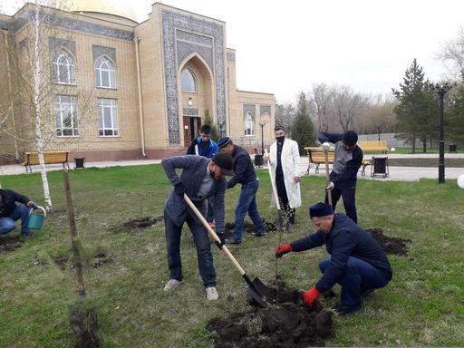 Қостанай: Мешіт маңына ағаш отырғызылды