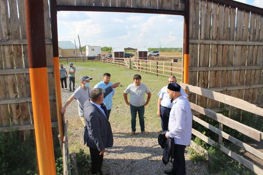 Қостанай: Құрбан шалу әзірлігін пысықтады