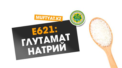 E621 - Глутамат натрий | 16-дәріс